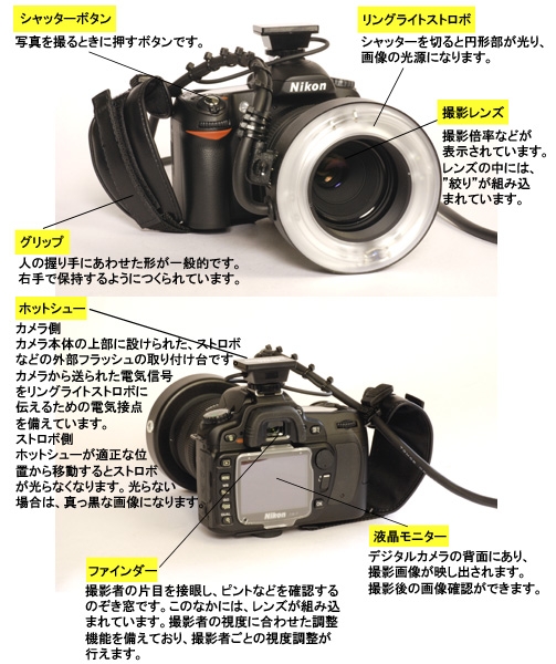 スマホ Nikon 望遠レンズ ストロボの通販 by kou3214's shop｜ニコンならラクマ Nikon 一眼レフカメラ からもらい