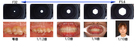 絞りと倍率2.jpg